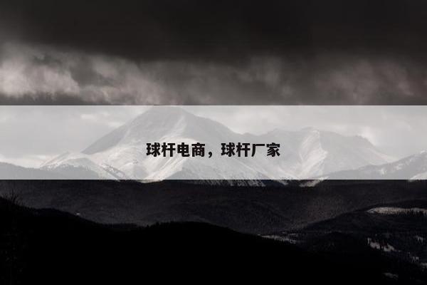 球杆电商，球杆厂家