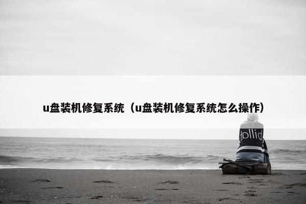 u盘装机修复系统（u盘装机修复系统怎么操作）