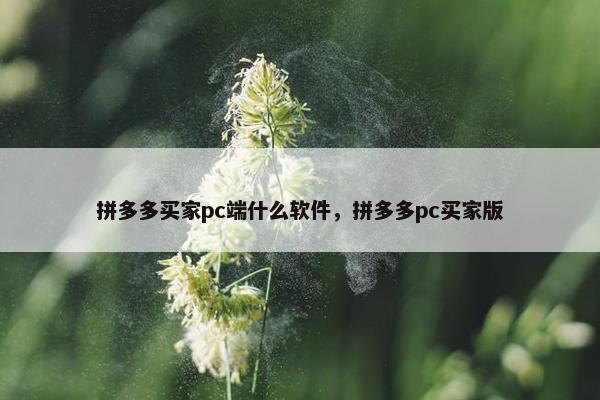 拼多多买家pc端什么软件，拼多多pc买家版