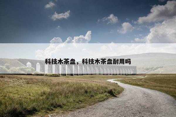 科技木茶盘，科技木茶盘耐用吗