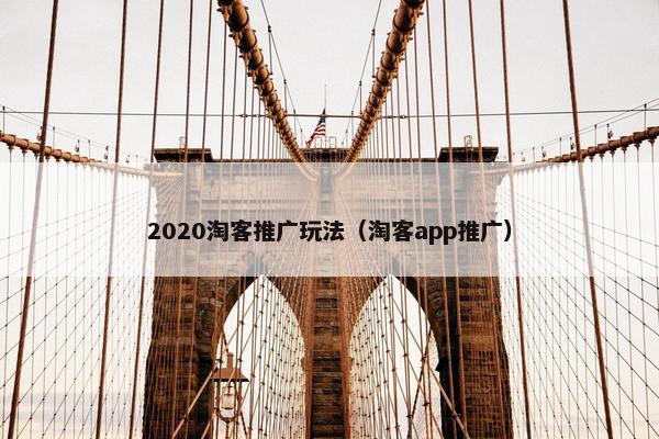 2020淘客推广玩法（淘客app推广）